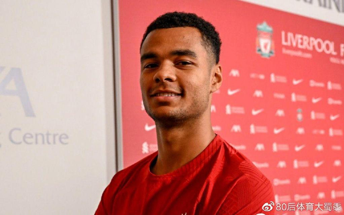 略决策的完 略决策的完